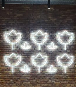 penta-e1689864632906-260x300